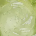 The photograph supplied for Cape Aloe leaf.