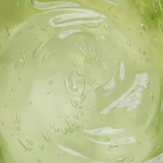 The photograph supplied for Cape Aloe leaf.