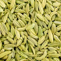 The photograph supplied for Fennel seed.