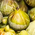 The photograph supplied for Triphala fruit.