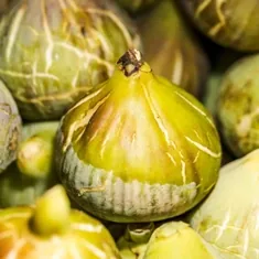 The photograph supplied for Triphala fruit.